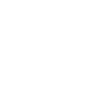 icons8-elections-100