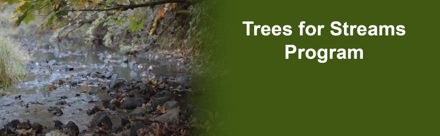 Trees for Streams Program