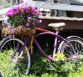 A bicycle with flowers in the basket