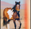 "Wild Horses in Oregon" Image of a mustang