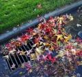 stormdrain clog with leaves