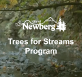 Trees for Streams website image