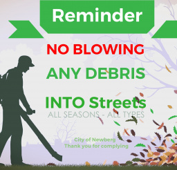 keep debris out of storm drains