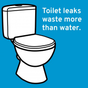 Check for leaks and save water