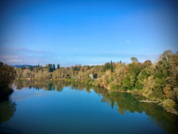 An image of the Willamette River