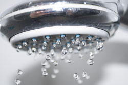 Image of a shower head