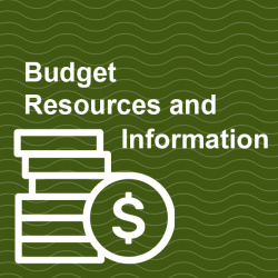 coins with text "Budget Resources and Information