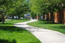 paved path among trees