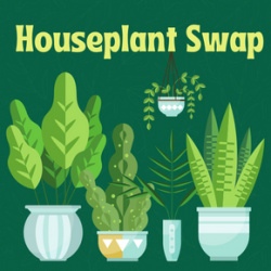 "Houseplant Swap" Image of five different types of house plants