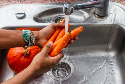 a photo of a person's hands washing carrots under a running faucet