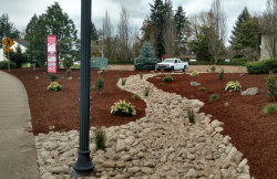 New Waterwise landscape at the Girl Scout Garden frontage 2018