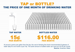 cost of bottles info graphic showing that bottles cost up to $115.45 more per month