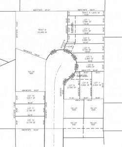 Proposed Preliminary Plat of 12 Lot Subdivision