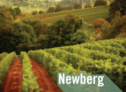 photo of vineyards in valley with the word "Newberg"