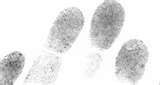 fingerprints done with ink on a white background 