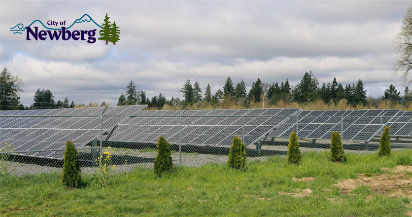 Solar farm Image