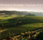 image of the chehalem valley and vineyards