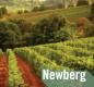 photo of vineyards in valley with the word "Newberg"